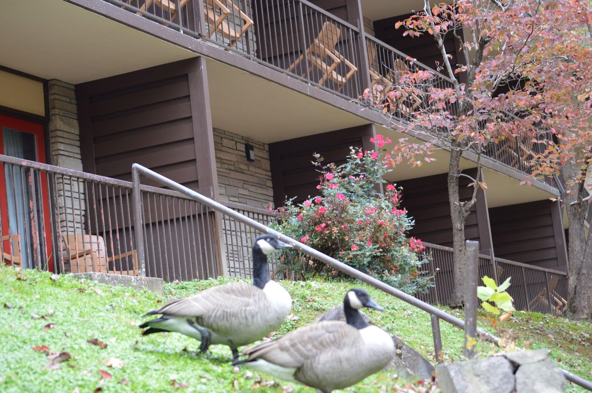 Econo & On The River Hotel Gatlinburg